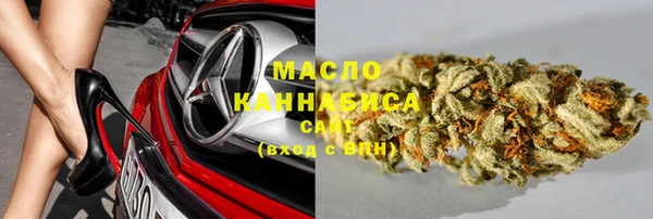 индика Тайга