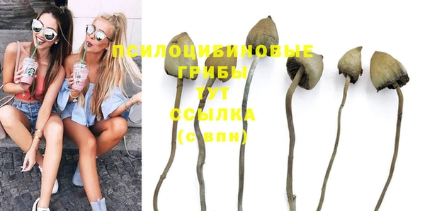 ешки Тавда
