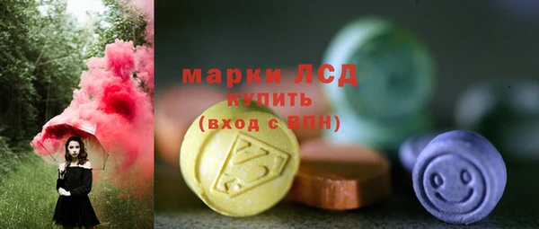 индика Тайга