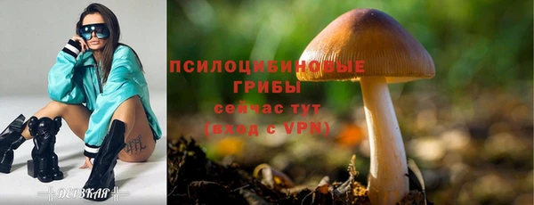 каннабис Сясьстрой