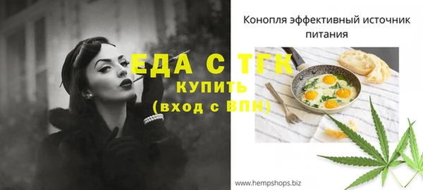 индика Тайга