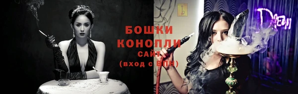 индика Тайга