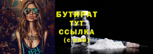 индика Тайга