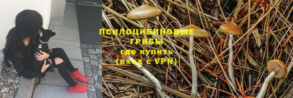 индика Тайга
