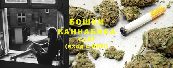 индика Тайга