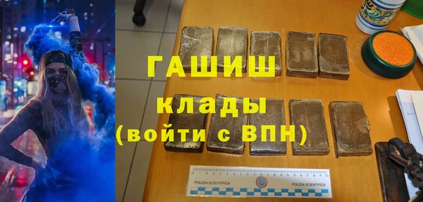индика Тайга