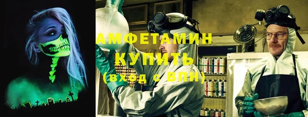 индика Тайга