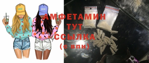 индика Тайга