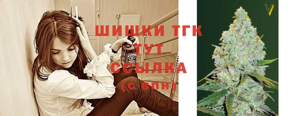 ешки Тавда